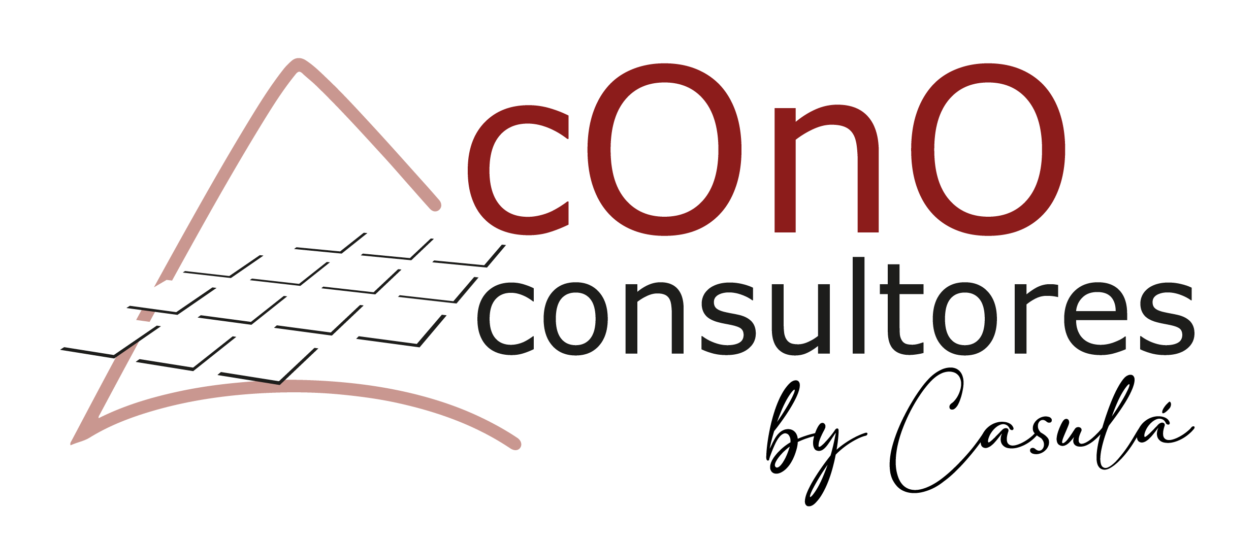 cono consultores